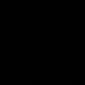 Meet your Posher, Randi